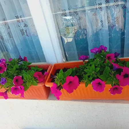 Apartamento Dioklecijan *